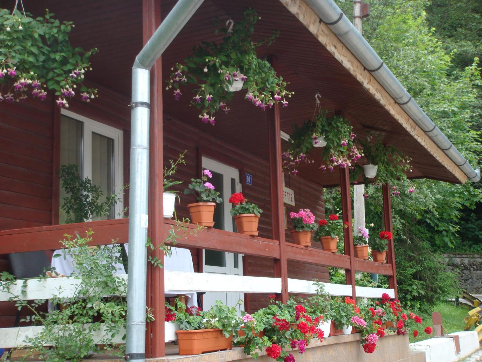 Motel Cristina Біказ Екстер'єр фото